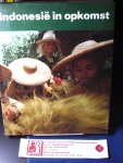 Uhlig,H - Indonesië in opkomst