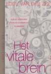 Zee, Eddy - Het vitale Brein: Hoe de hersenen sterk en dynamisch te houden