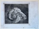 Jacob Cornelis Gaal (1796-1866) after Pieter Gaal (1769-1819) - [Antique print, etching] Head of a goat, published 1855, 1 p.