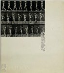 Paul Hill - Eadweard Muybridge