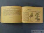 H. Callens S.J. - Geneeskrachtige planten.
