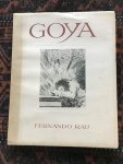 Rau, Fernando - Goya