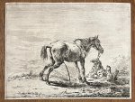 Dirk Stoop (c. 1610-1686) - Antique print, etching | Pissing horse [set of 12 horses] (Plassend paard), published 1651, 1 p.