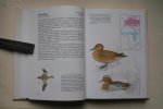 Bejcek, Vladimir - een beschrijving van meer dan 100 soorten trekvogels met illustraties in kleur TREKVOGELS