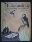 Andreasen, N.P. - Falkevandring - Valken