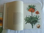 Coats, Alice - Kaiserkron und Tulipan die Schönheit von Blumen und Blüten. Tafeln aus Pflanzenbüchern des 16. bis 19. Jahrhunderts
