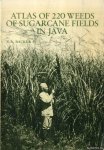 Backer, C.A. - Atlas of 220 weeds of sugarcane fields in Java