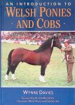 Davies, Wynne - An Introduction to Welsh Ponies and Cobs