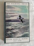 Boyd, Hugh illust. P.Scott - The Tenth Annual Report of The Wildfowl Trust 1957 - 1958