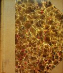 Rotterdamsche Lloyd - The Lloyd Mail 1937-1938 Volume VII