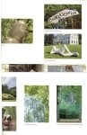 Modder, Jaap & Bierens, Cornel  en Bas Heine - Sonsbeek 2008: grandeur. Een jubileum