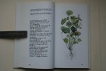 Bastin, Marjolein; Buisink, Frans - biologie: KLEIN HERBARIUM  gebonden exemplaar