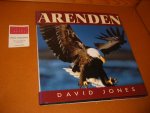 David Jones - Arenden