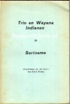 Findlay, D.G.A. - Trio en Wayana Indianen
