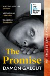 Damon Galgut - (1) The Promise