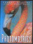 Silvers, Robert - Photomosaics