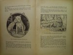 Been, Joh. H. - Vogeltje Grijp Been, Joh. H. - Vogeltje Grijp