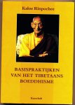 Rinpochee, Kaloe - De basispraktijken van het Tibetaans boeddhisme / Het juwelen ornament van veelvoudige mondelinge instructie dat alles en iedereen ten goede komt