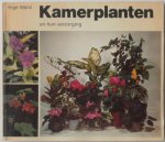 Manz Inge, vert. Seters A van - Kamerplanten en hun verzorging