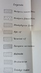 Umbgrove, J.H.F., - De Koraalriffen in de Baai van Batavia. With summary in English)