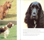 Middelhaufe Sabine - Das Buch vom Cocker. Alles über den Cocker Spaniel Middelhaufe Sabine - Das Buch vom Cocker. Alles über den Cocker Spaniel
