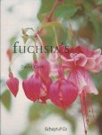 D. Clark - Fuchsia's