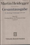 Heidegger, Martin - Grundprobleme der Phänomenologie