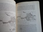 Haberland, Eike - Sago und Austronesier, Bemerkungen zur kulturhistorischen Methode