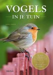 Daniella Strauss - Vogels in je tuin de meest voorkomende soorten herkennen - een vogelvriendelijke tuin inrichten