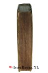 Trigland (Triglandium), Jacobus (Jacobum) - Los Gebouw des Pausdoms, Dat is: Klare verthooninghe, hoe dat de Kerckelijcke Monarchie ende Hierachie des Pausdoms, op een los, ja versiert, fundament ghebouwt staet. Alwaer vande Kerckelijcke Successie in het breede wort ghehandelt. Mitsgade...