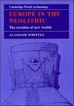 Alasdair W. R. Whittle - Europe in the Neolithic