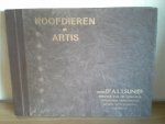 SUNIER - Plaatjesalbum ,ROOFDIEREN IN ARTIS