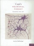 CAJAL, Santiago Ramón y - Javier DEFELIPE - Cajal's Neuronal Forest - Science and Art. CAJAL, Santiago Ramón y - Javier DEFELIPE - Cajal's Neuronal Forest - Science and Art.