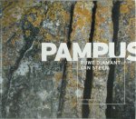Letty Reimrink - Pampus Ruwe diamant van steen