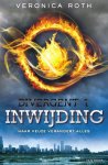 Veronica Roth, Postema Maria 1981- - Divergent 1 - Inwijding