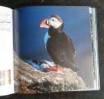 BARDARSON, HJALMAR R. - fuglar islands