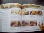 Carol Blackburn - "How to make Polymer Clay Beads" Step-by-step techniques for creating beautiful ornamental beads. Carol Blackburn - "How to make Polymer Clay Beads" Step-by-step techniques for creating beautiful ornamental beads.
