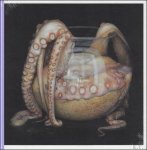 Michael Petry ; Femke Vandenbosch ; Libby Lumpkin ; Max Presneill ; Johannes Késenne. - Cindy Wright : Still Well