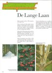 Voskuil, Julia ; Hoey Smith, J.R.P. van ... [et al.] - Bomenrijk in Rotterdam