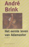 Brink, André - Eerste leven van Adamastor