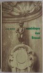 Heyn, Jan - Wandelingen door Brussel