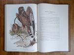 Gould, John - The Birds of Australia (vol. I-VIII) + Handbook to the birds of Australia