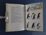 G. S. Tuck. - A field guide to the seabirds of Britain and the world.