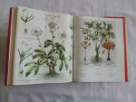 Besler, Basilius - The Book of Plants. The Complete Plates.