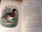 Stuart Baker, EC - Indian Ducks and their Allies