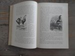 Baldamus, A.C.E. - Geïllustreerd Handboek der Pluimveeteelt - eerste deel: De Hoendervogels (met 102 houtgravures naar teekeningen van Jean Bungartz)