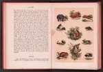 Sandwijk, G. van - De dierenwereld, of beschouwingen der levende, bezielde wezens onzer aarde : een lees- en prentenboek voor de jeugd
