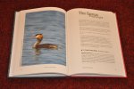 Konter, André - Grebes of our World - Visiting all species on 5 continents