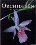 Starosta, Paul & Michel Paul - Orchideeën