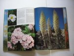 Hattum, H.J. van, bewerker Duitse uitgave - Exotische planten (Exotische Flora)